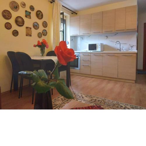 Lovely & cozy apartment, near US Embassy!