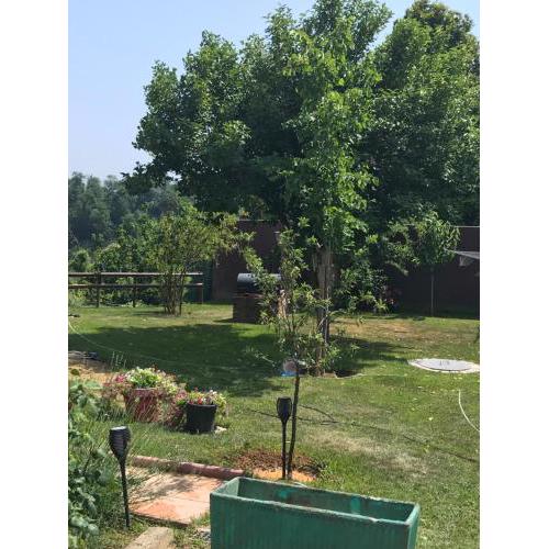 Lovely one bedroom apartment with garden