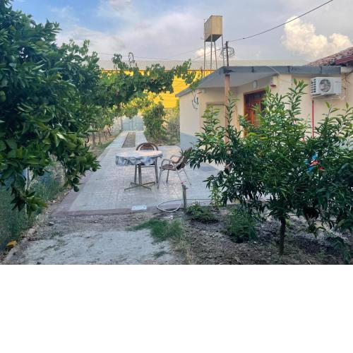 Lovely spacious house with big garden