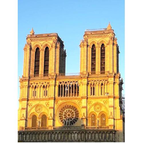 Lovely Studio Notre Dame