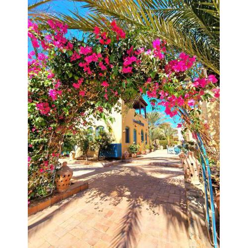 Lovely1 Bedroom Downtown ELGouna F04