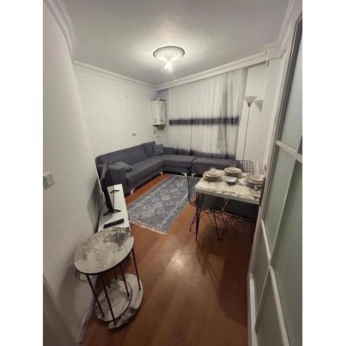 Lovely,centered 1-bedroom in Beşiktaş, Istanbul
