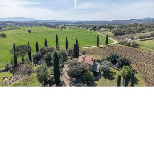 Lucente