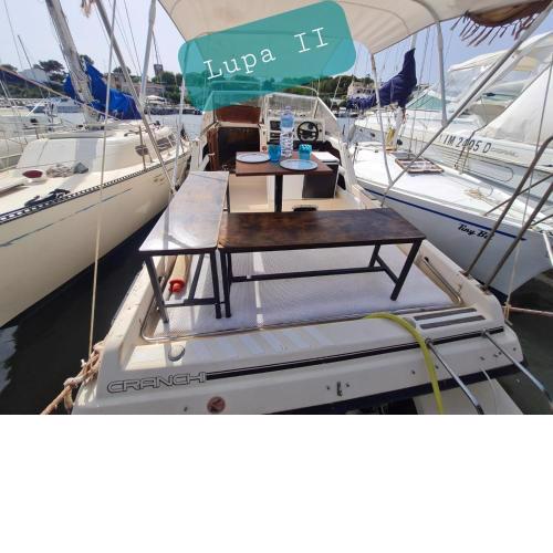LUPA - La flotta di Willy Giò