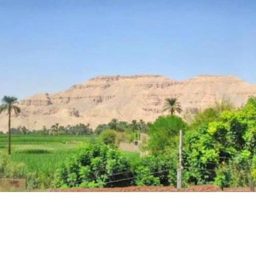 Luxor Apartment Hatshepsut