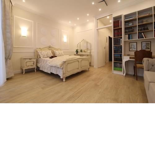 Luxurious Athenian Apartment