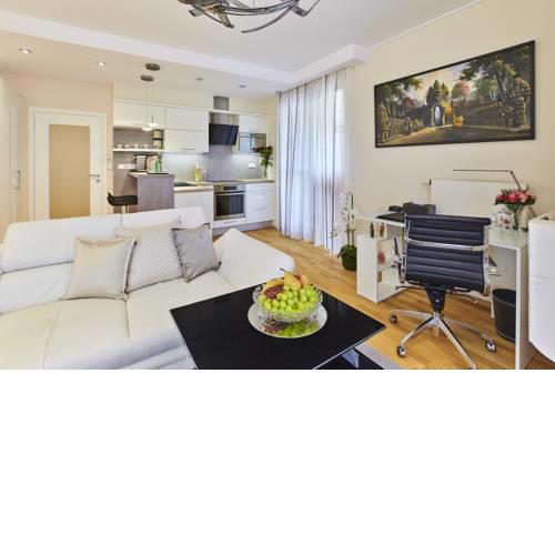 Luxurious Design Apartment