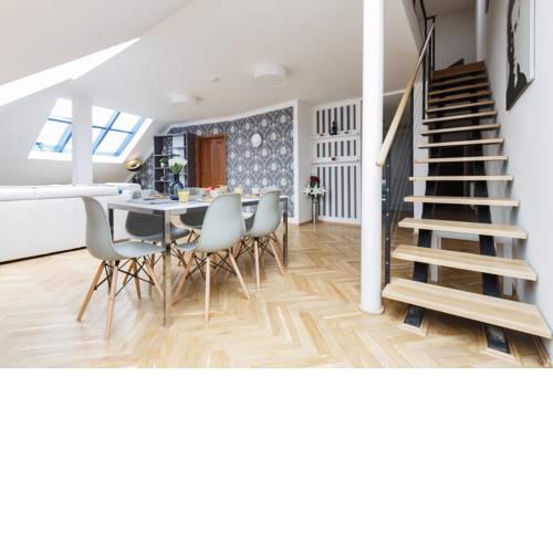 Luxurious Loft at Žižkov