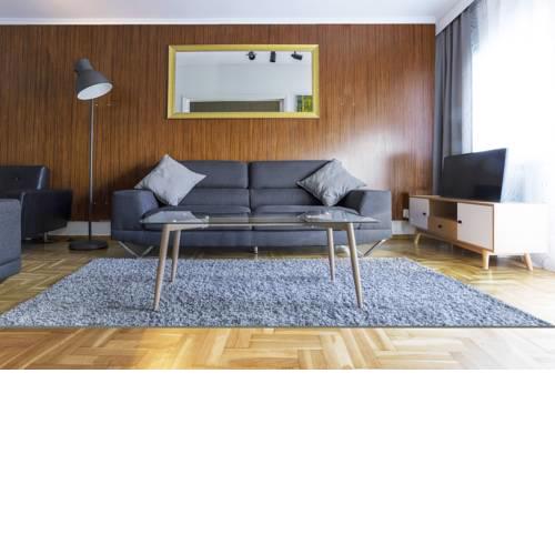 LUXURIUS ARCHITECT'S APARTMENT