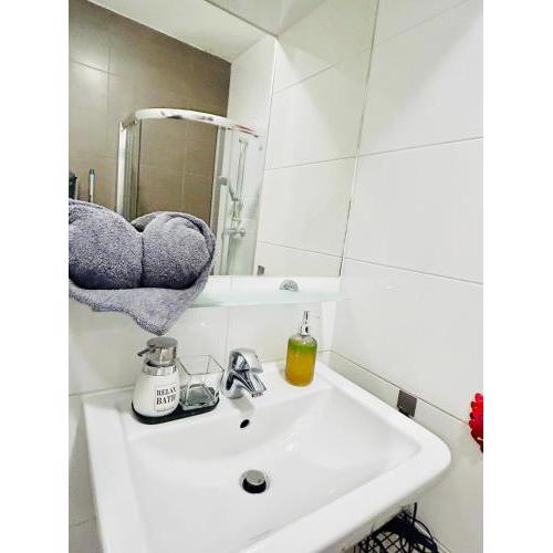 Luxury and cozy apartment Vinohrady Prague