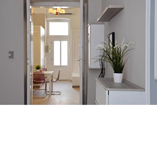 Luxury apartment at the Opera Theater