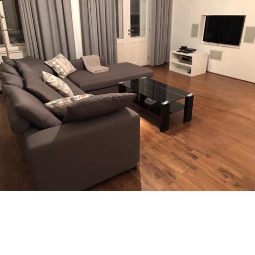 Luxury apartment Bílkova
