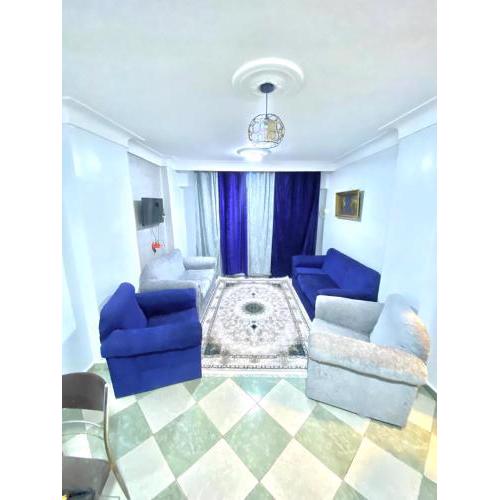 Luxury Apartment For Rent In Alexandria
