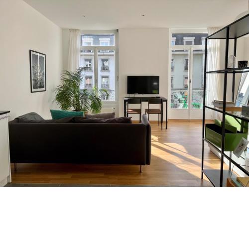 Luxury Apartment in Central Geneva