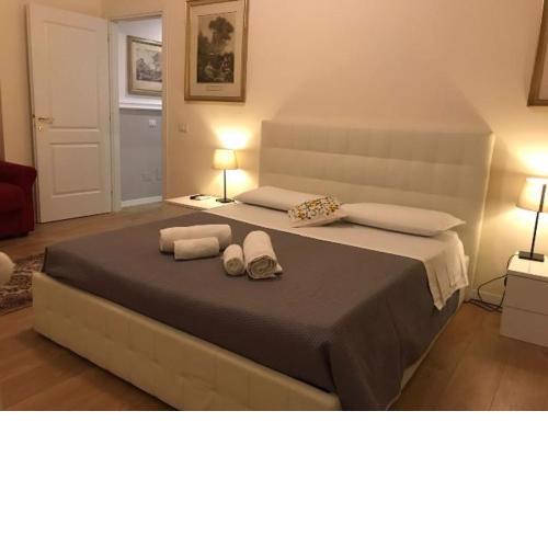 Luxury Apartment in Rattazzi