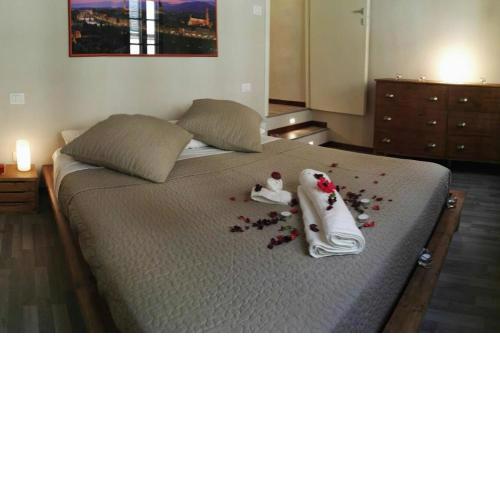 Luxury Apartment in San Niccolò