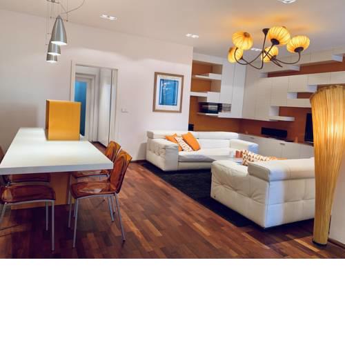 Luxury Apartment In The Center of Prague