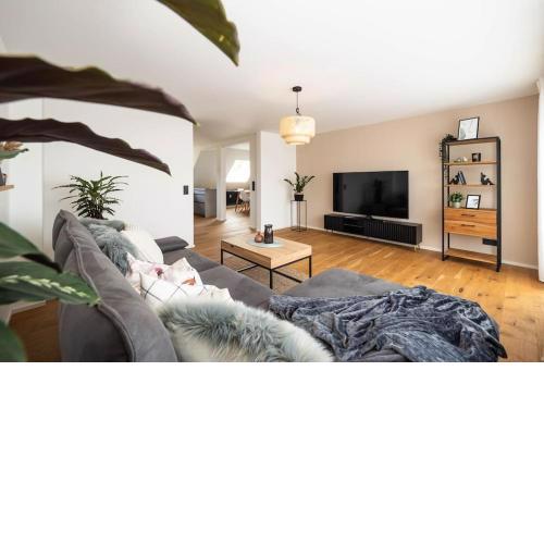 Luxury Apartment on the Rhein