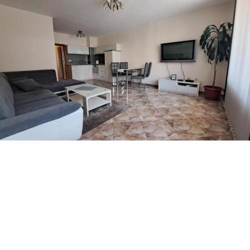 Luxury Apartment VLADISLAV