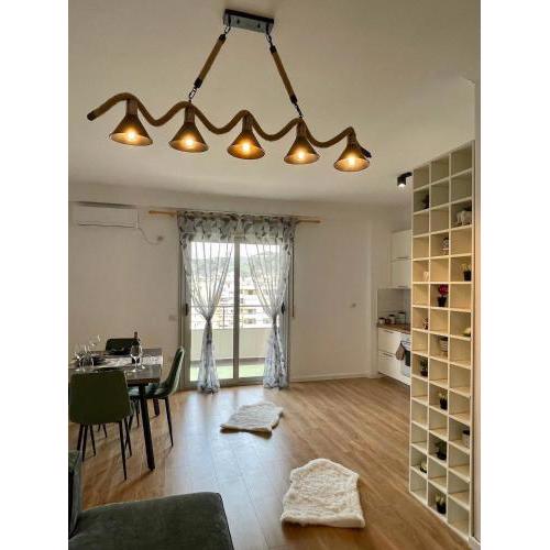 Luxury Apartment