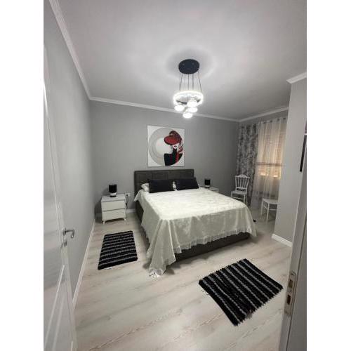 Luxury Apartment