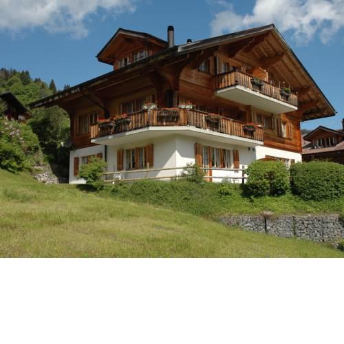 Luxury Chalet in Habkern with Private Garden