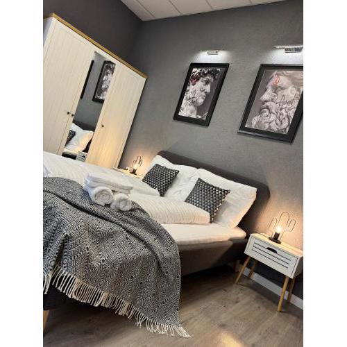 Luxury design apartment in downtown centre with free parking