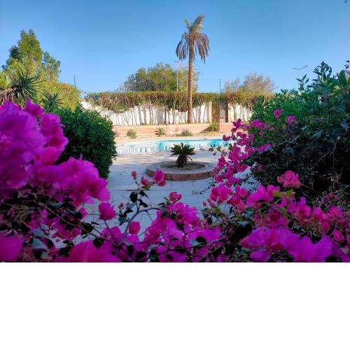 Luxury Gardenhouse pool WiFi Hurghada