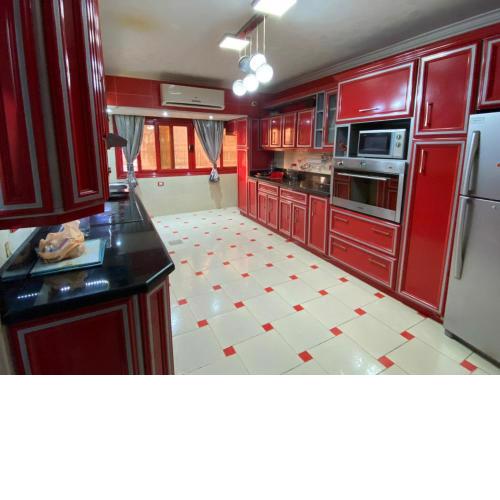 Luxury hotel apartment with nile view