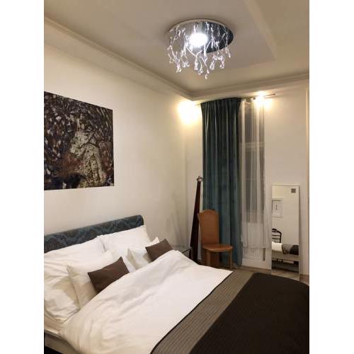 Luxury modern apartment in Letna