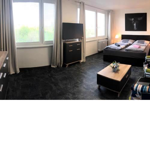 Luxury new apartment near the subway