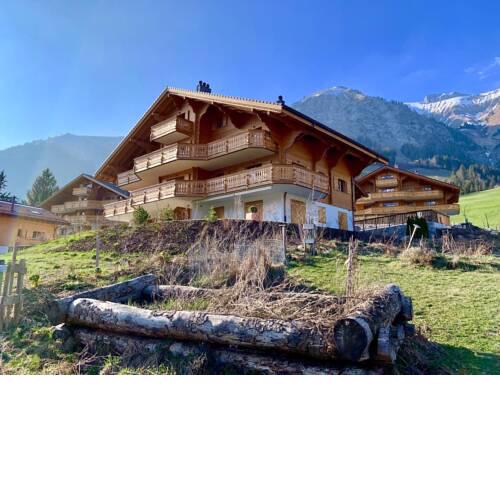 Luxury new Appartement near Gstaad
