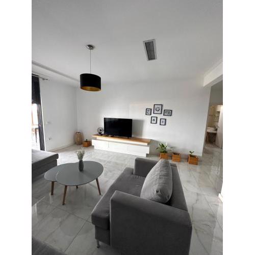 Luxury Penthouse B&E