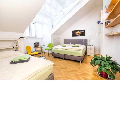 Luxury Penthouse in the Of Vienna