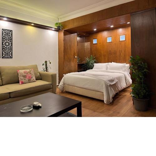 Luxury Studio Zamalek