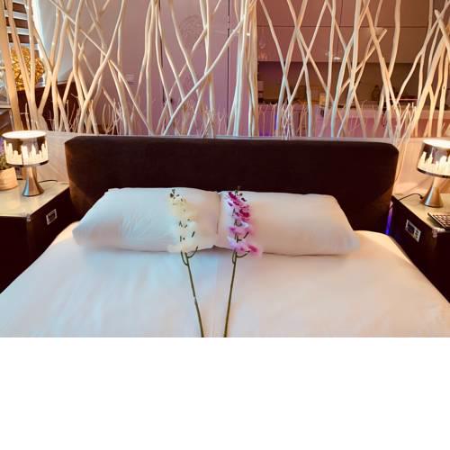 Luxury SUITE near MALL-GOLDEN HALL-4 minutes from the TRAIN station