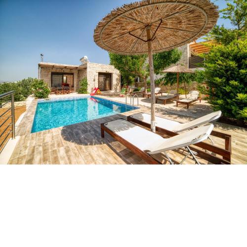 Luxury villa Taf - Olive luxury villas