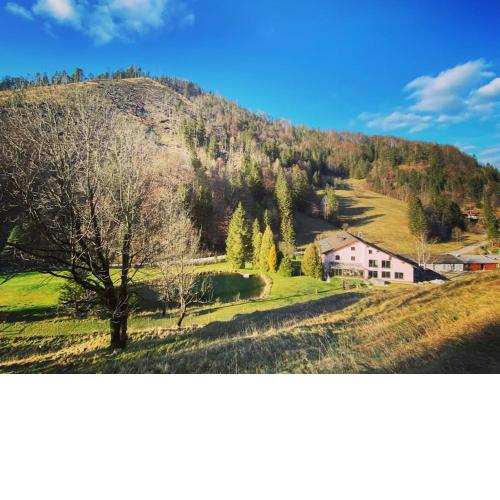 Luxury villa with pool, sauna, jacuzzi in Otscher national park