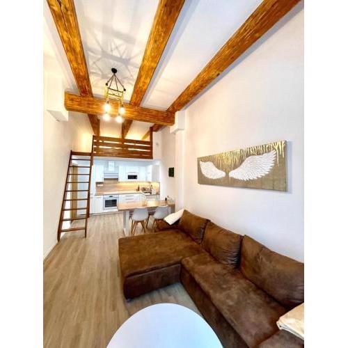 Luxusní Apartmány Černý důl