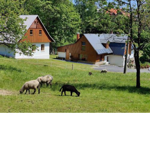 Luxusní apt Hory 7 v Krkonoších