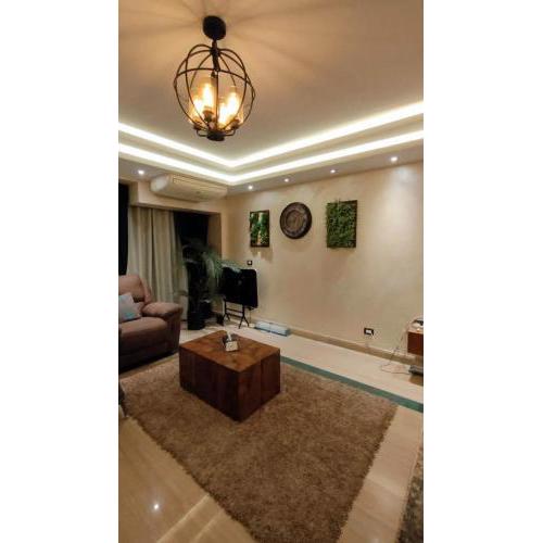 Maadi apartment overlooking the Nile and Feo