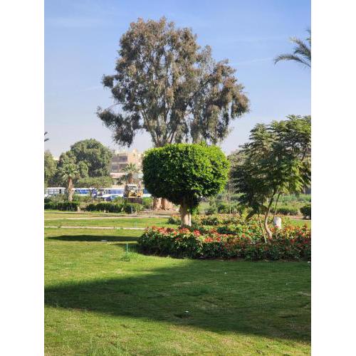 Maadi Oasis