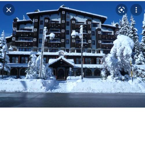 Madonna di Campiglio-Campo Carlo Magno-Cosy apartment