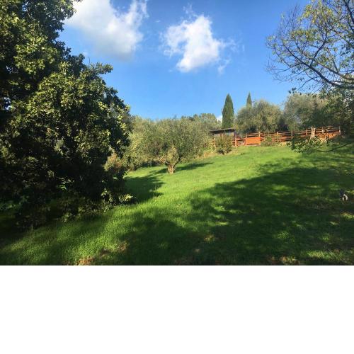 Madonnella Agricola