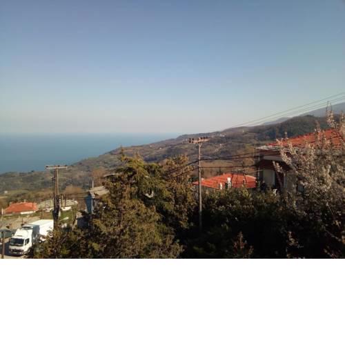 Magda Studios - Double Bed Room N3