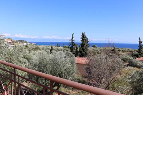 MAGIA-KORONI