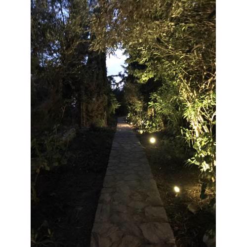 MAGIC PATH-GARDEN VIEW