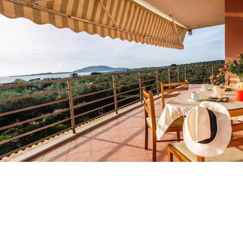 Magical sunset flat, in an olive grove by the beach