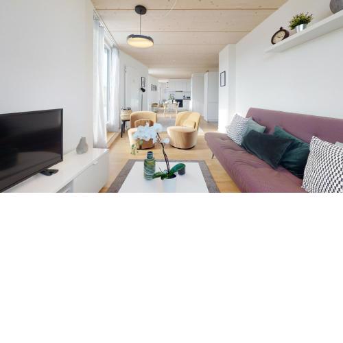 Magnificent modern apartments in the city center