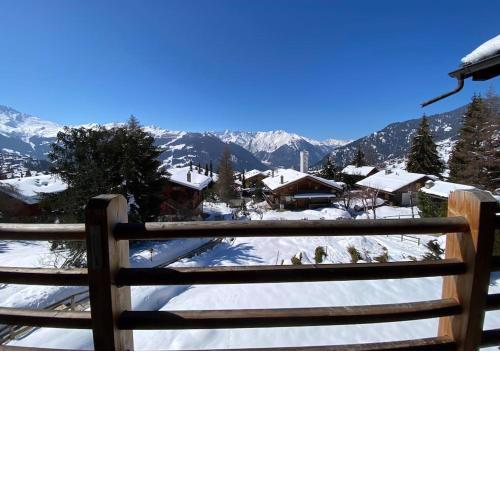 Magnifique Ski in/out, cosy and calm, 4 bedrooms